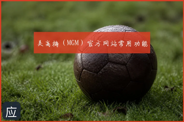 美高梅（MGM）官方网站常用功能